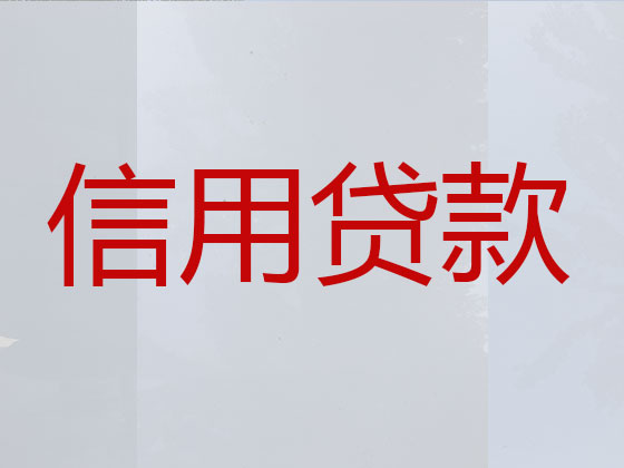 六安本地贷款公司